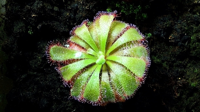 А вы знали что опубликовал? Школа академиков