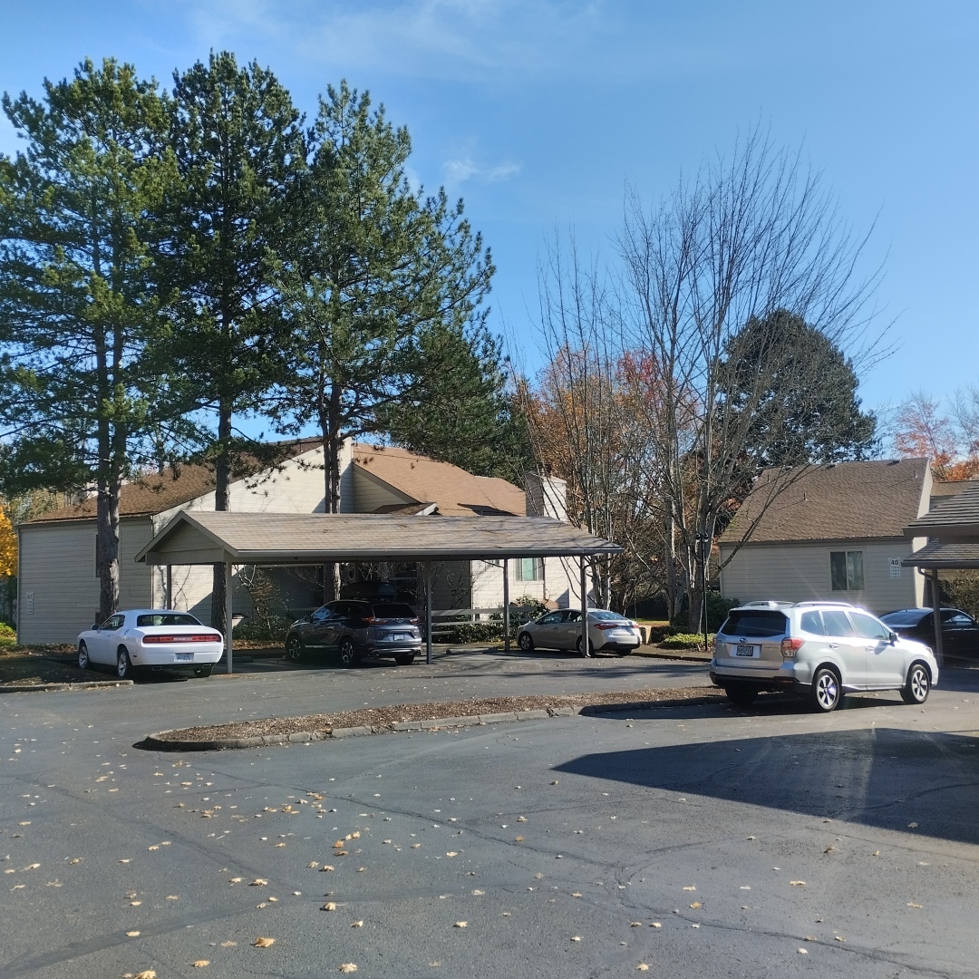 Как меня не хотели впускать в США