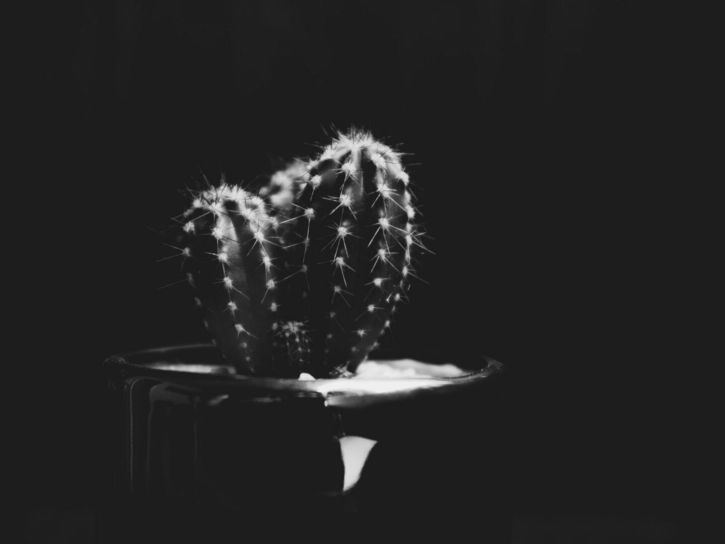 "Гендер и приметы" (Случайные истории)