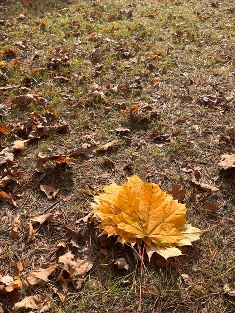 Октябрь в конверте