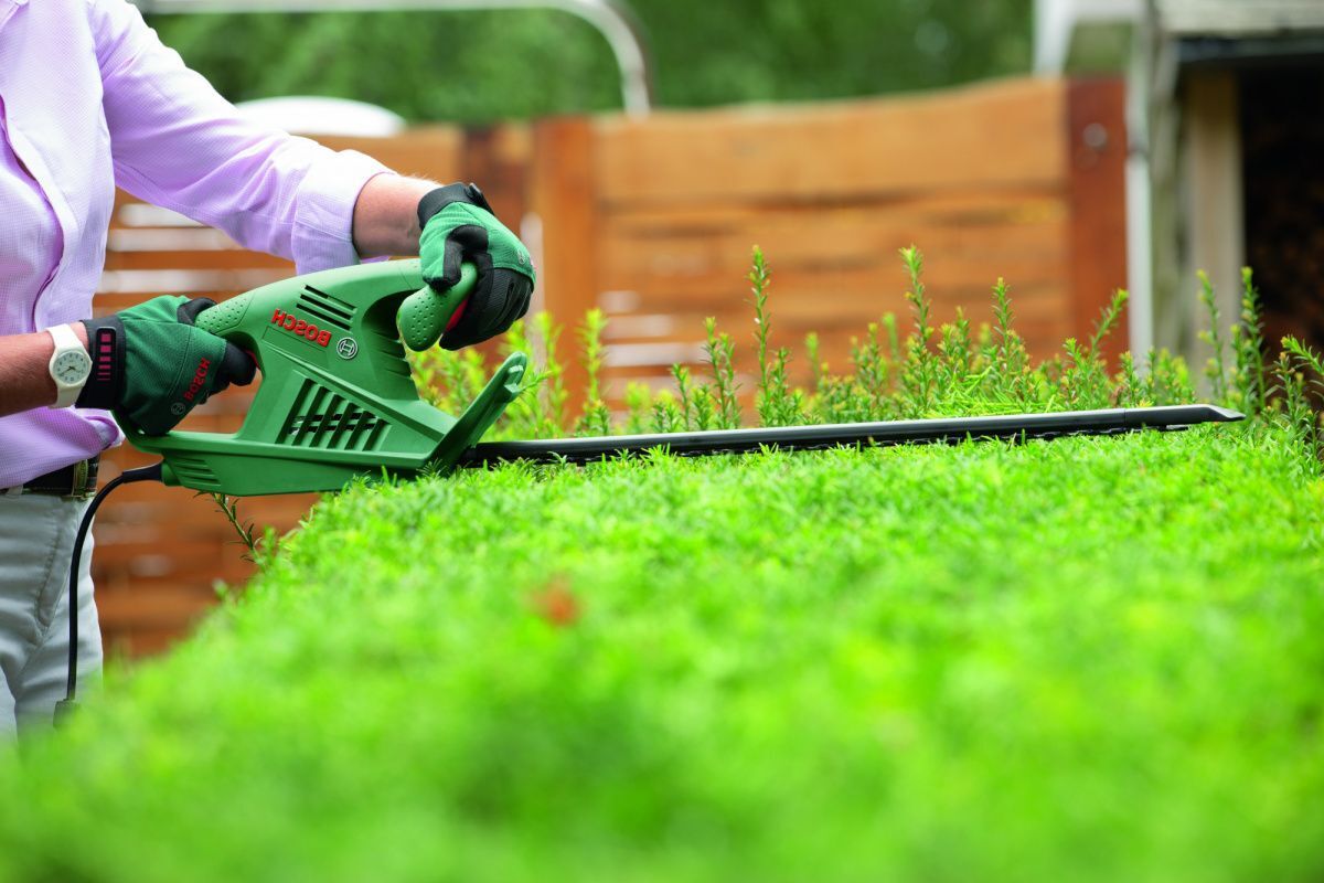 Что такое кусторез и чем он отличается от триммера