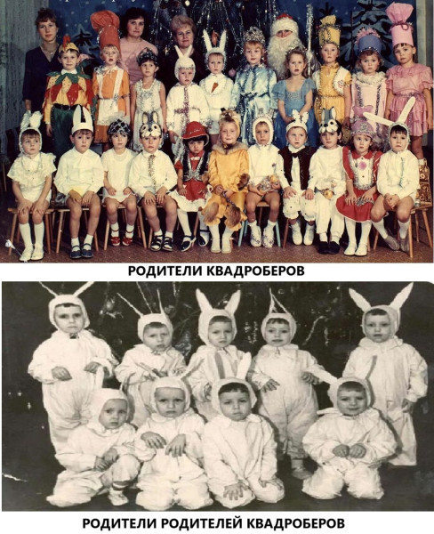 Весёлые картинки про КВАДРОБЕРОВ