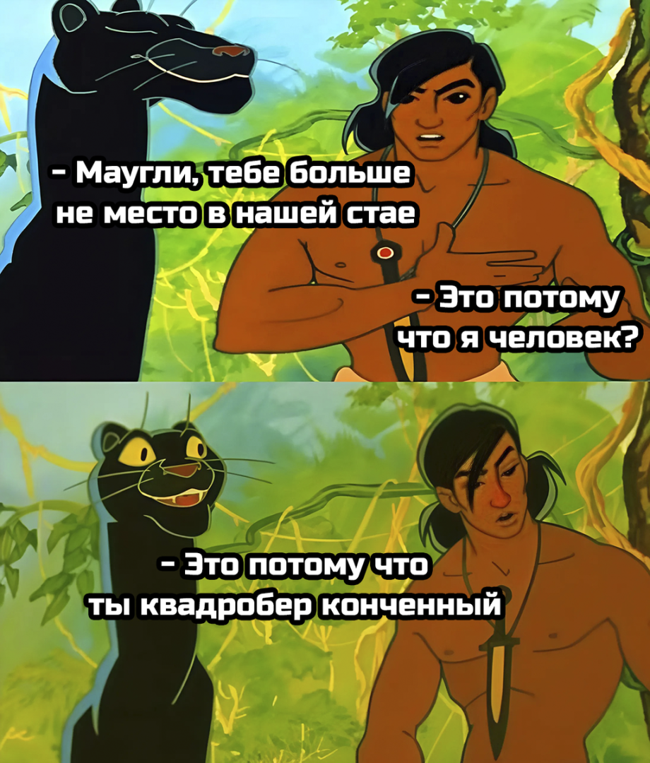 Весёлые картинки про КВАДРОБЕРОВ