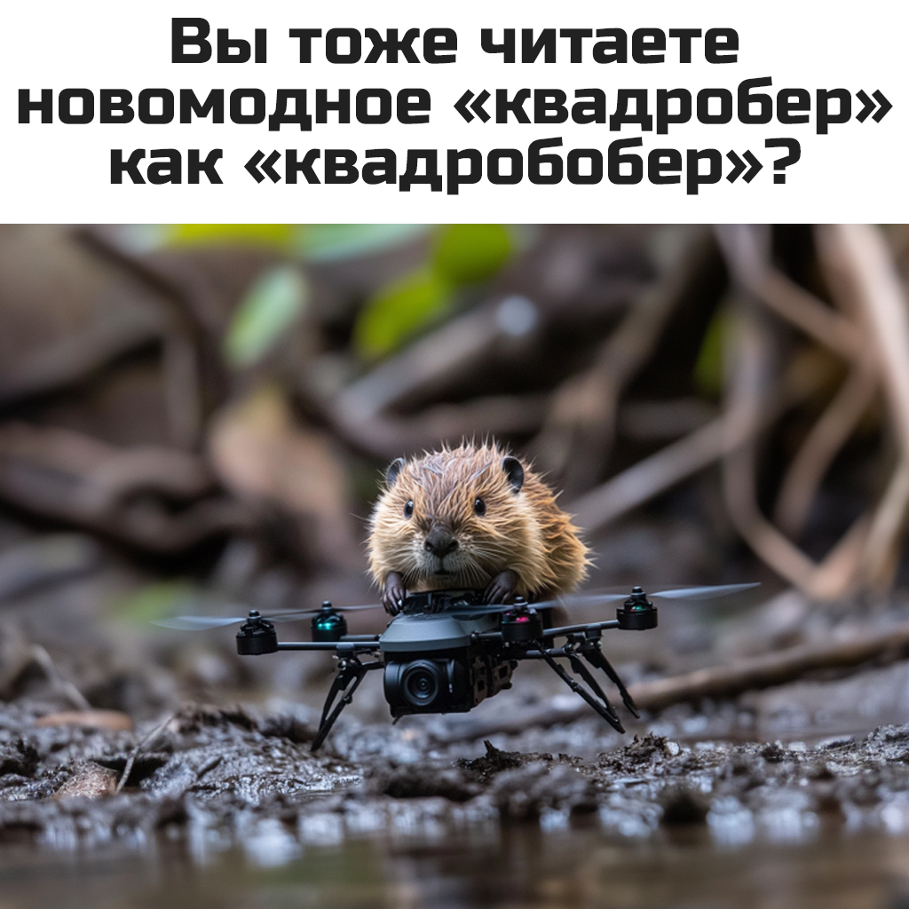 Весёлые картинки про КВАДРОБЕРОВ