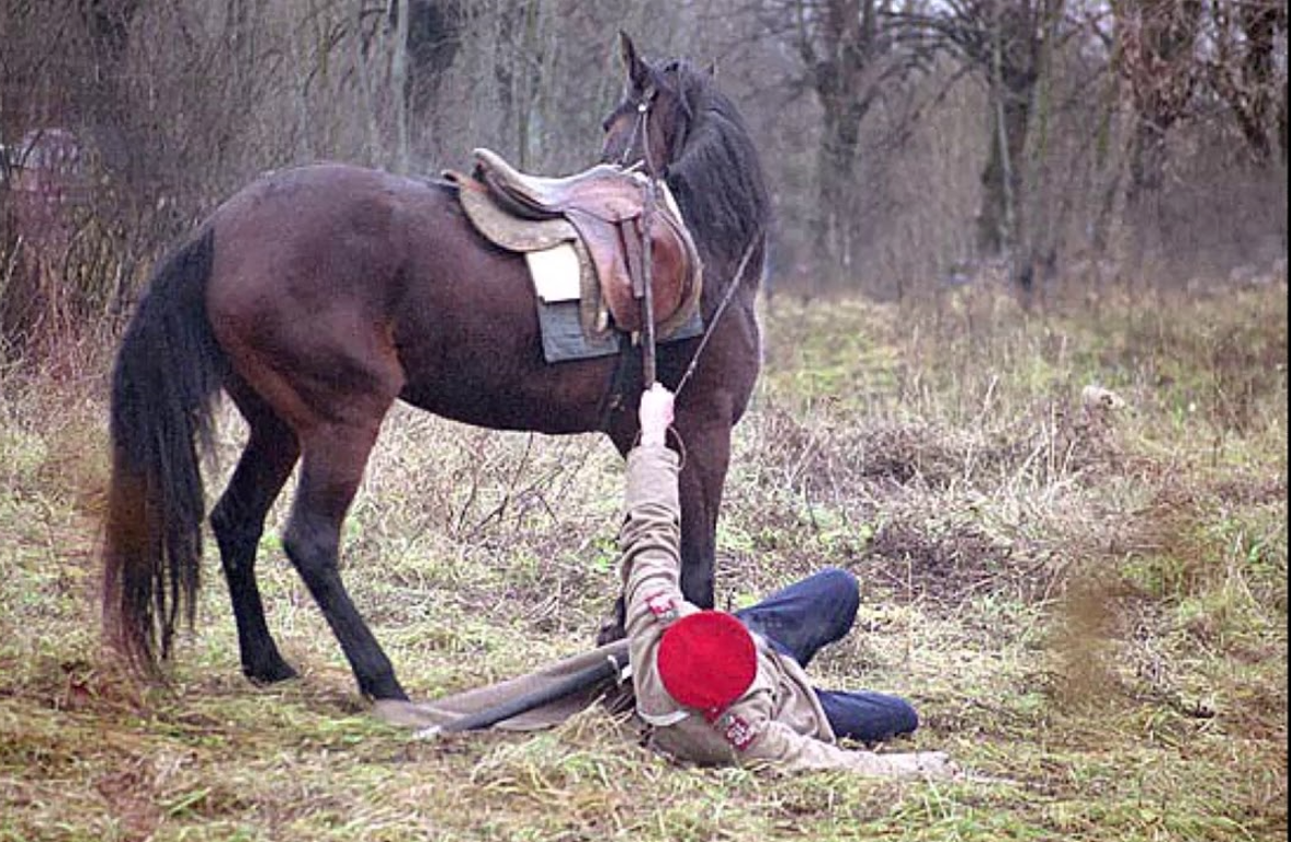 А за что жизнь отдал молодой есаул?