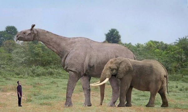 Это самое большое животное, когда-либо правившее небом