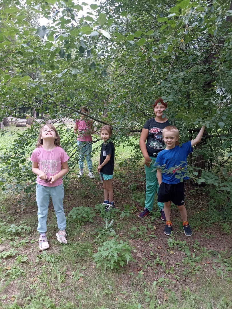 Реабилитационный центр.Подводные камни.