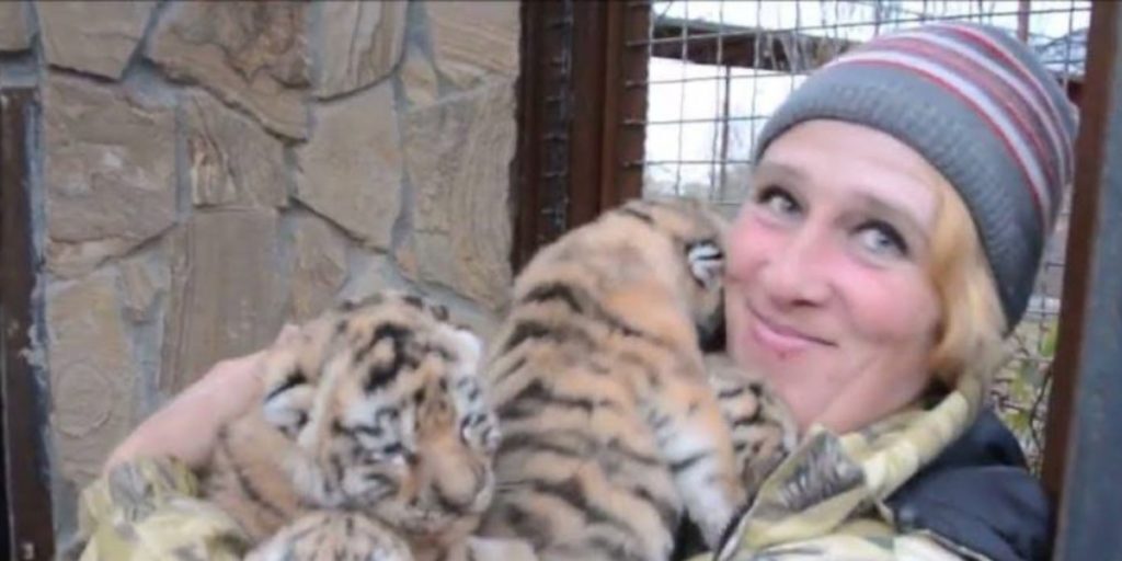 В Крыму в сафари-парке "Тайган" львы убили сотрудницу