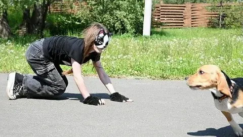 Квадробер наоборот. В сети завирусилось видео с собакой, которая ходит на задних лапах