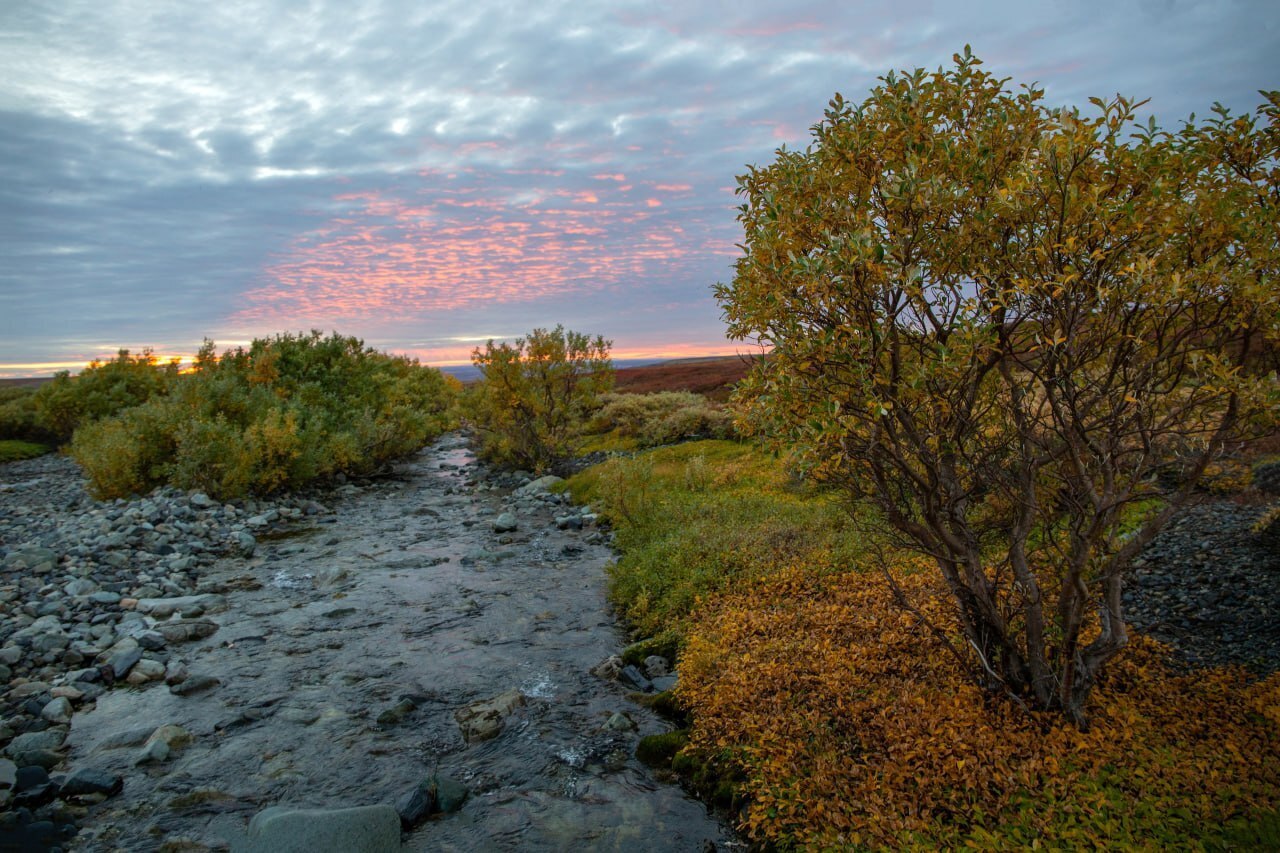 Чукотка: царство красоты и суровости