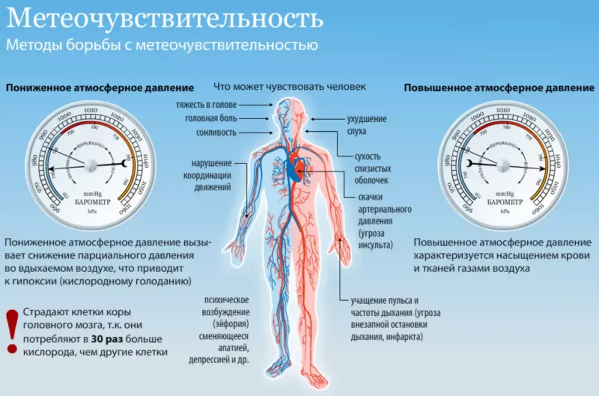 Влияние атмосферного давления на организм. Влияние атмосферного давления на человека. Влияние пониженного атмосферного давления. Влияние пониженного атмосферного давления на организм человека. Чем воздух тем давление ниже. Влияние атмосферного давления на организм. Влияние атмосферного давления на человека. Влияние пониженного атмосферного давления. Влияние пониженного атмосферного давления на организм человека.