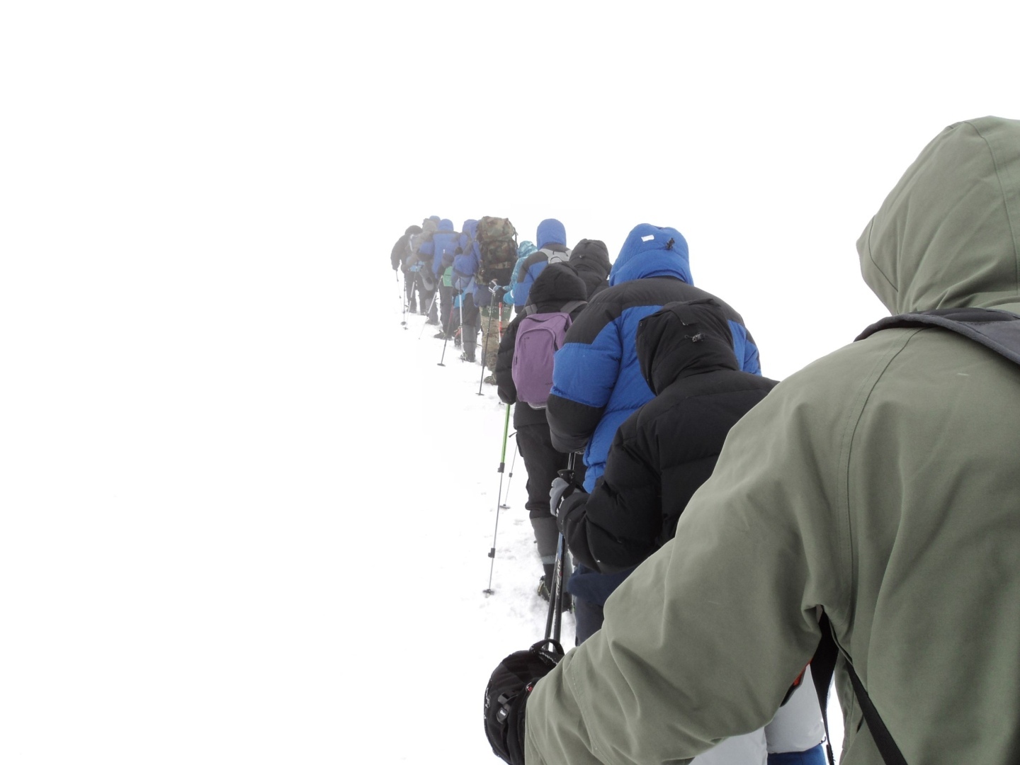 Итоги викторины «Что бы это значило?» Называем победителей🎉🥇