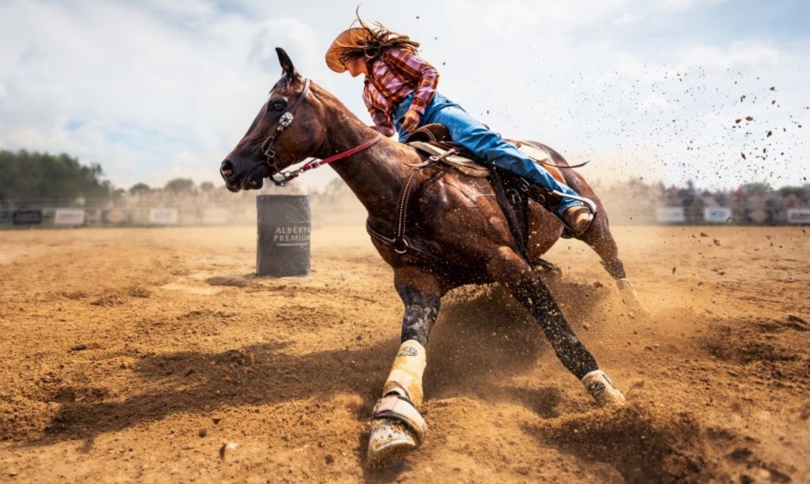 3 номинации Победителей фотоконкурса 2023 Sony World Photography Awards