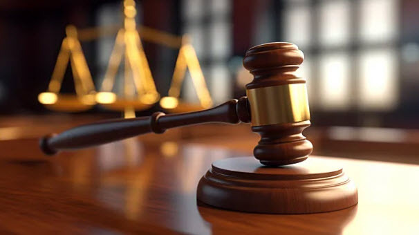 Грузинская наёмница приговорена к 13 годам и объявлена в международный розыск.