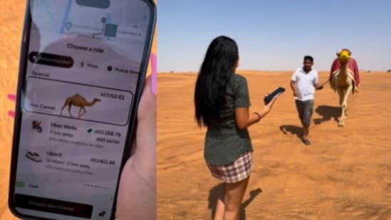 Заказываем такси или верблюда?