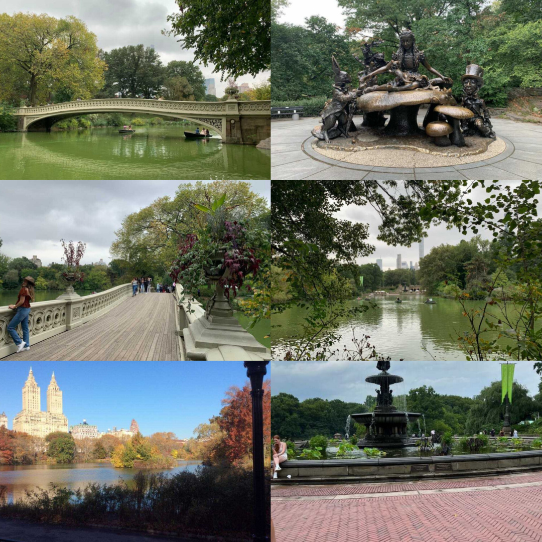 Вилли Токарев, знакомство с Америкой