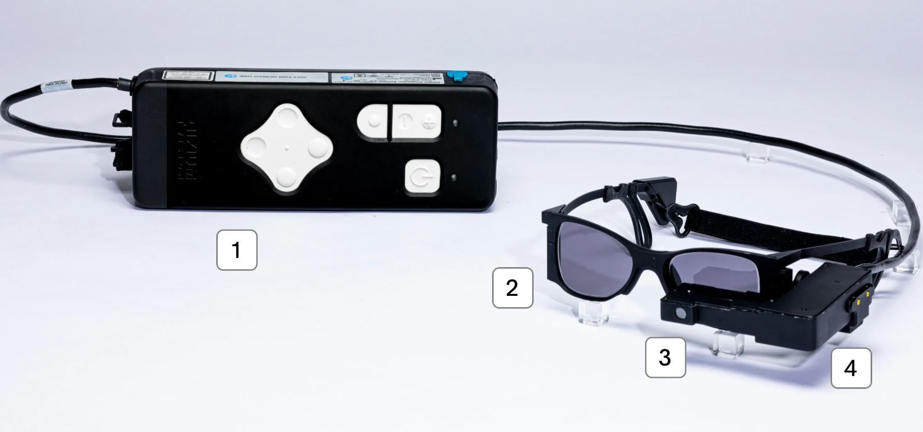 Впервые в истории учёные победили слепоту