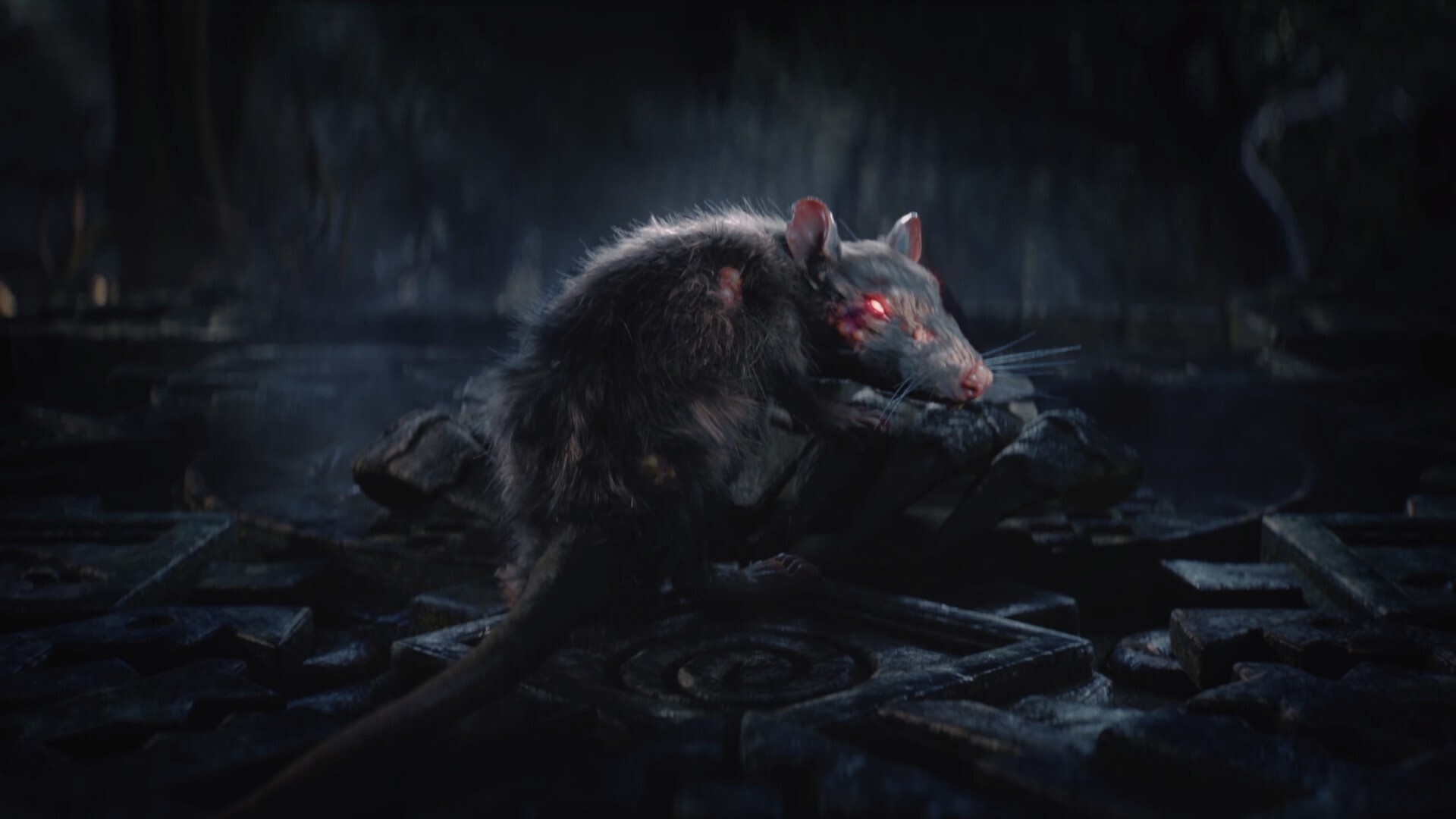 "Крыса" (365 или Меню на каждый день).