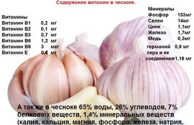 Полезные свойства Чеснока для женщин и мужчин