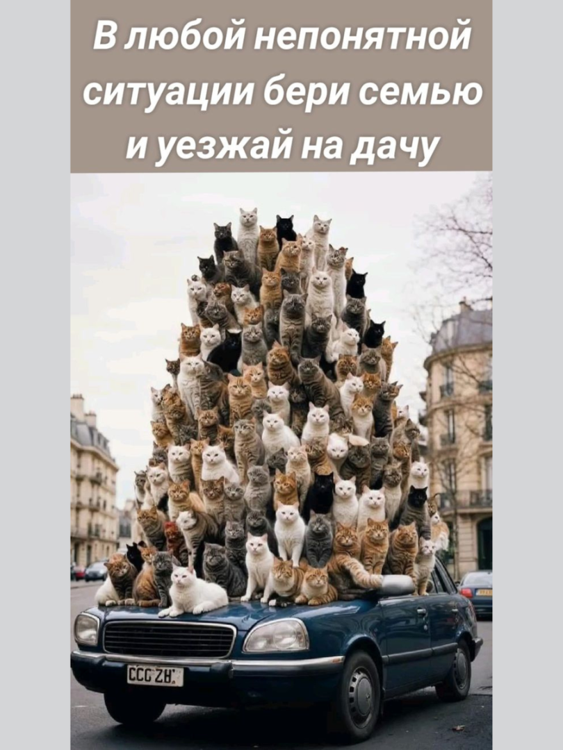 Весёлые картинки (выпуск 51)