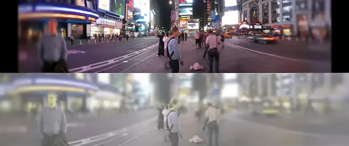 Как видят кошки наш мир