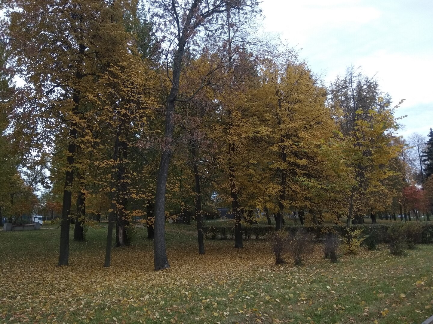 Осень в городе. Золотая пора в Санкт-Петербурге (фото)