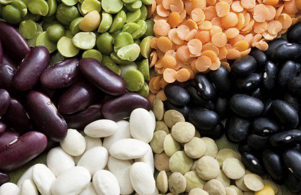 Гарпия и уроки домоводства или еще один опрос от Хвостатого