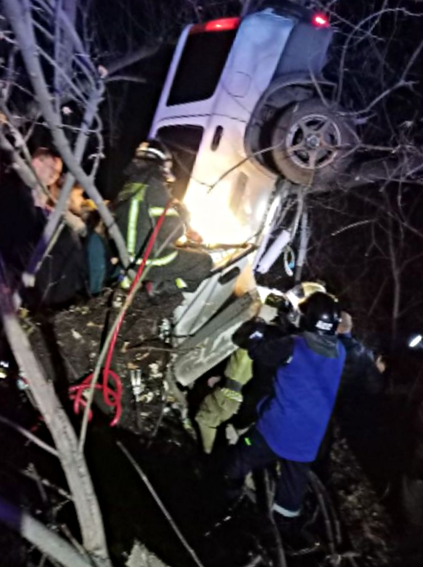 Как "птичка" угнездилась на ветках деревьев