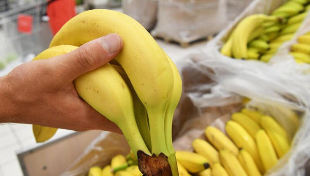 Ввоз бананов в Россию из Эквадора сведён до минимума с 2012 года