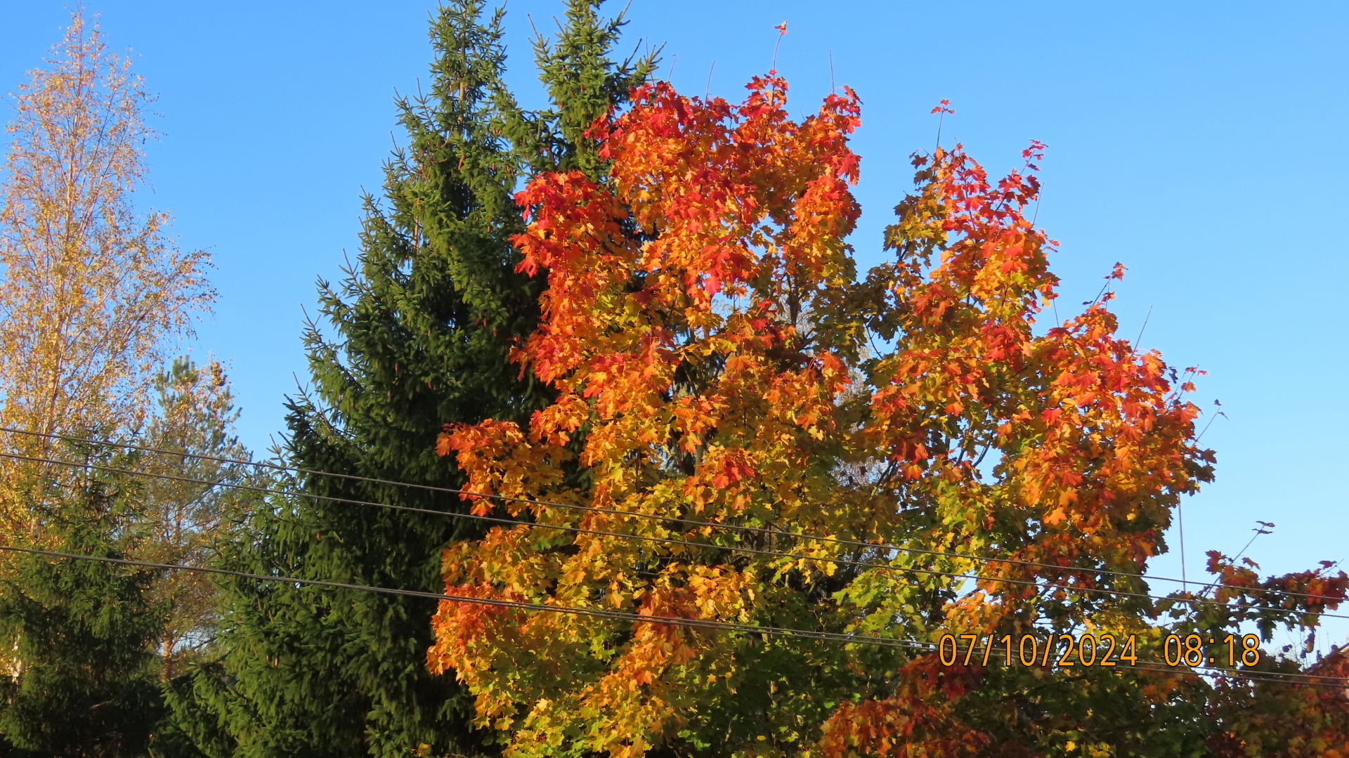 Октябрь прошёл / Кассандре и Гвидону.