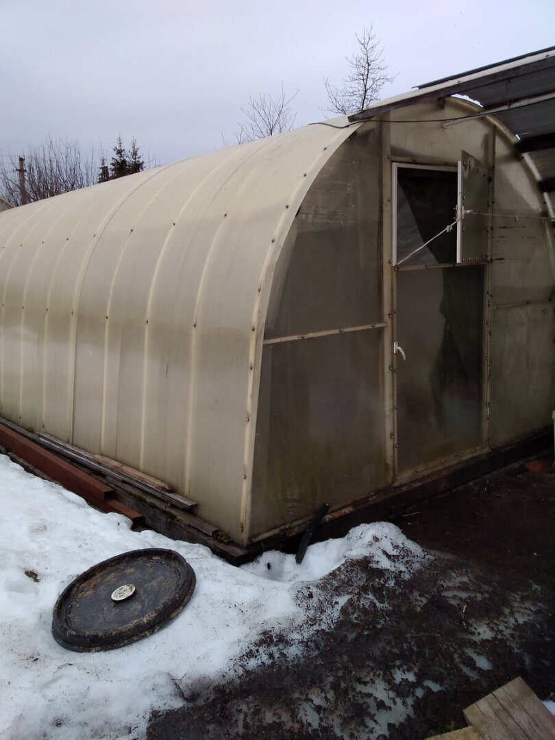 Мышка //Байки Крысы, рожденной под знаком Рака, из поймы Ижоры.