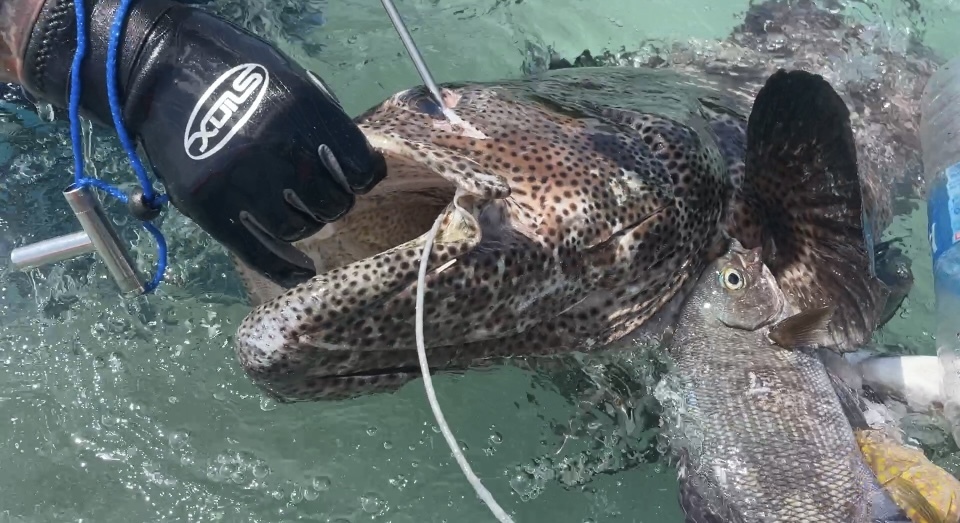 Лирическое, индийское про островитян на Хэвлоке – наивные как дети