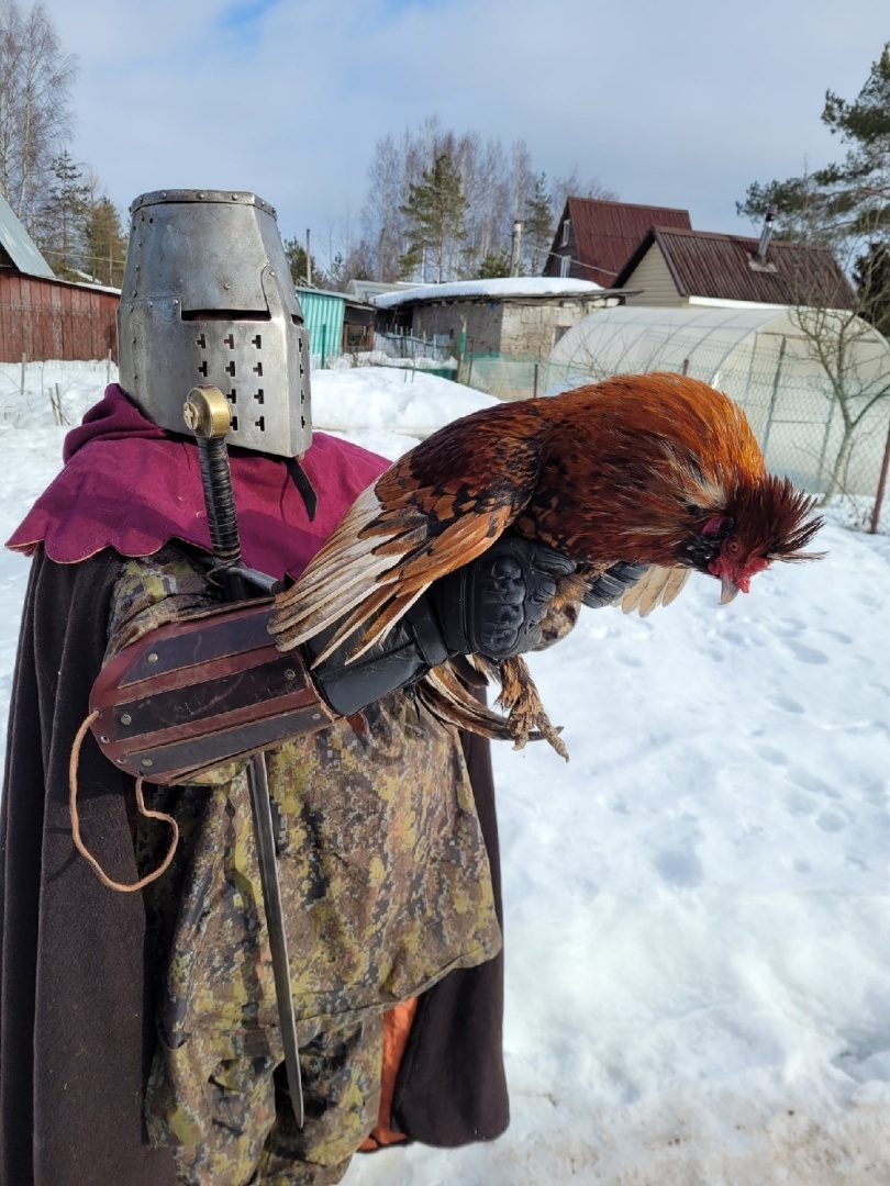 Мышка //Байки Крысы, рожденной под знаком Рака, из поймы Ижоры.