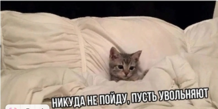 Весёлые картинки про РАБОЧУЮ СУББОТУ!!!