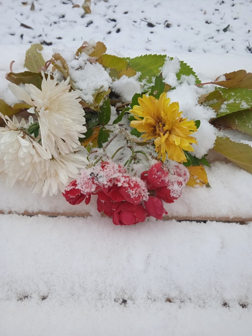 "Цветы под снегом" - как легкий поцелуй зимы и лета