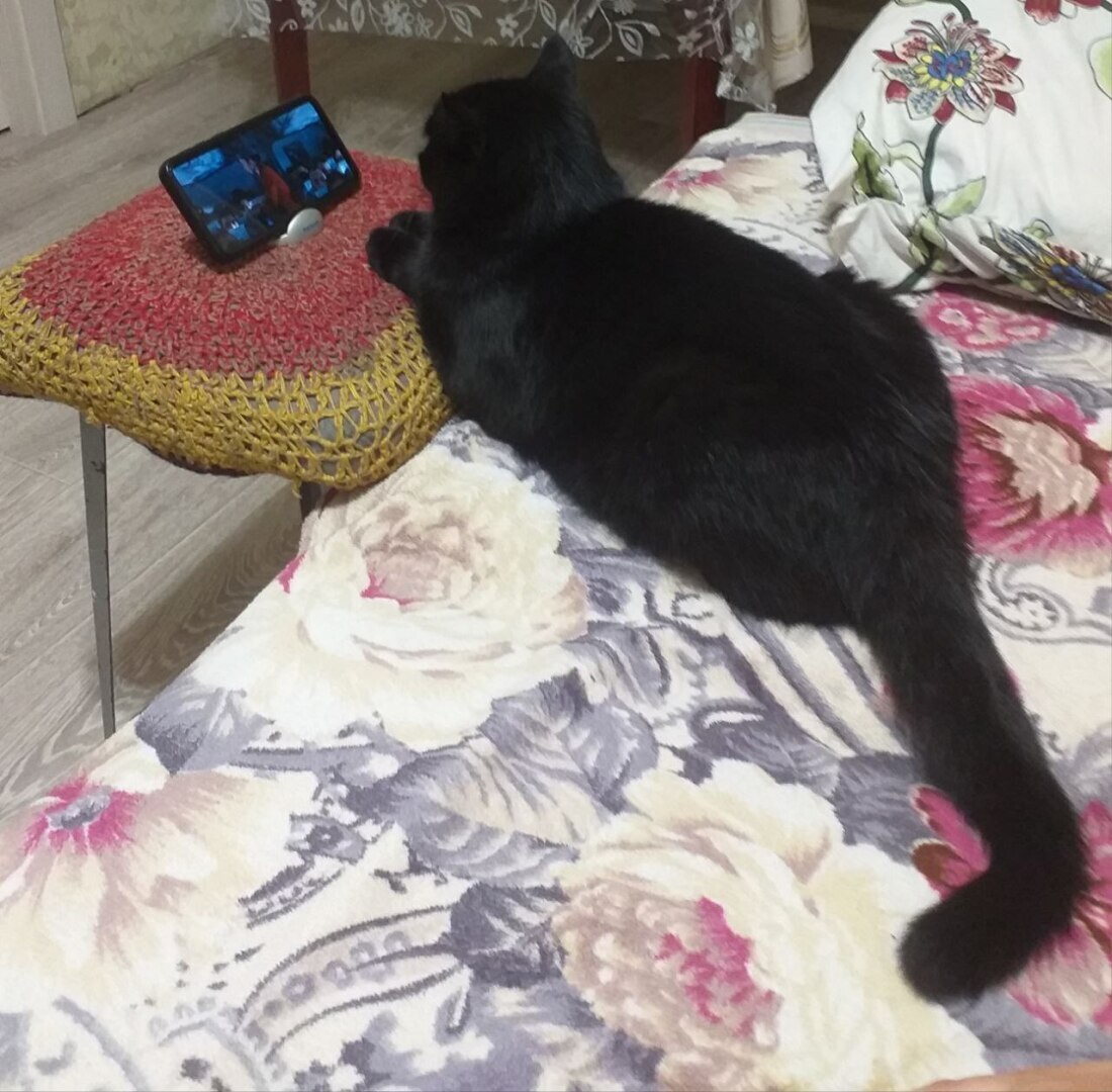 Радость дня. Ищем свои светлые моменты!