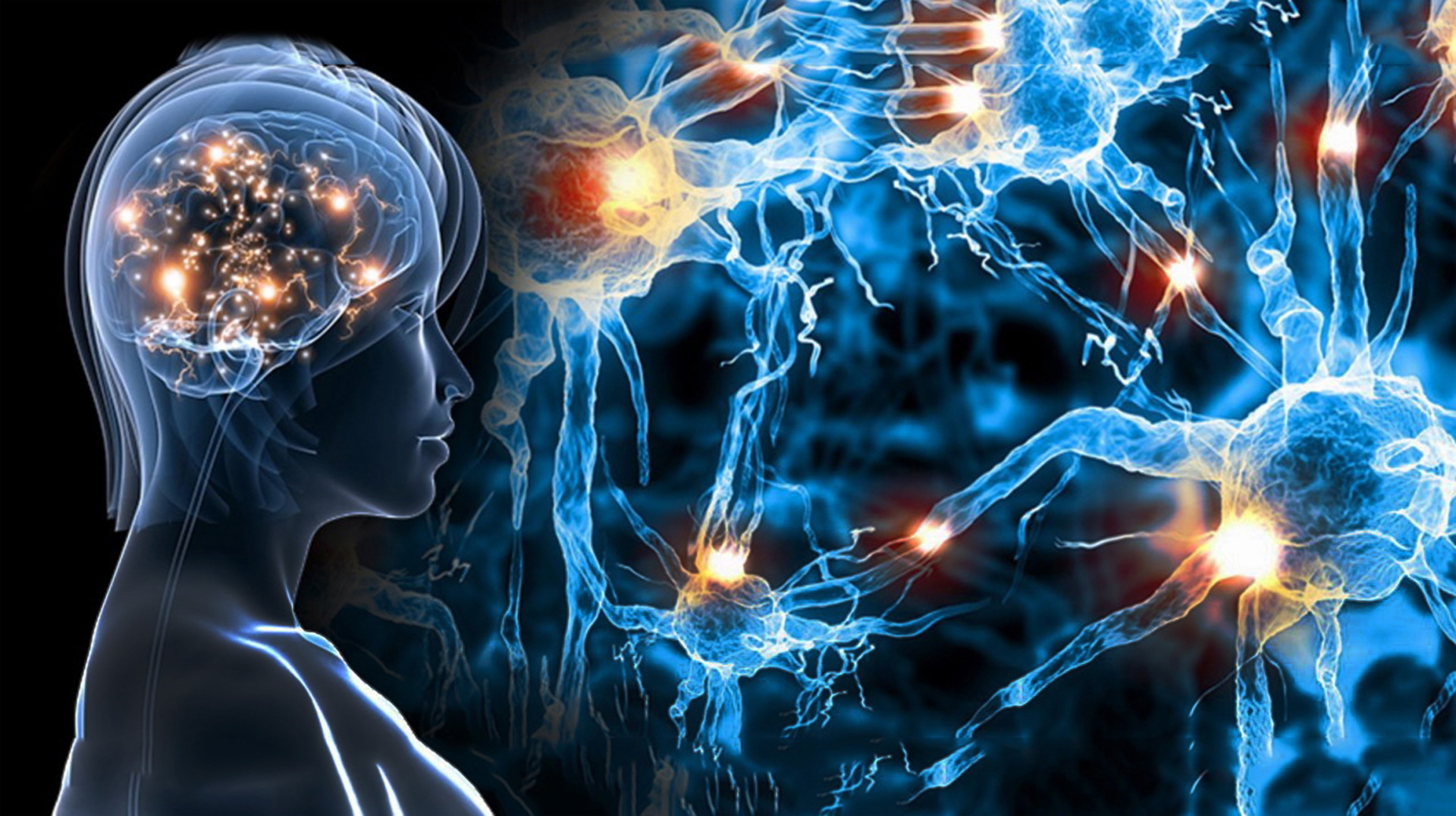 Тайные знания о человеке - мозг и сознание!