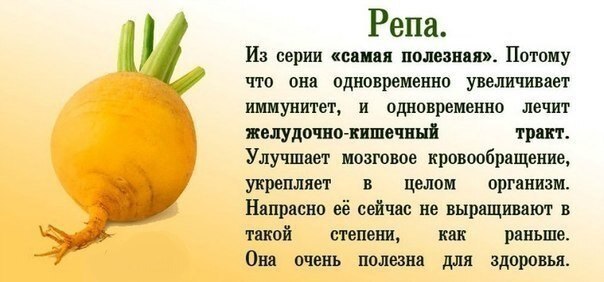 «Королева стола»! Онкодиетолог поделилась удивительными свойствами забытого овоща
