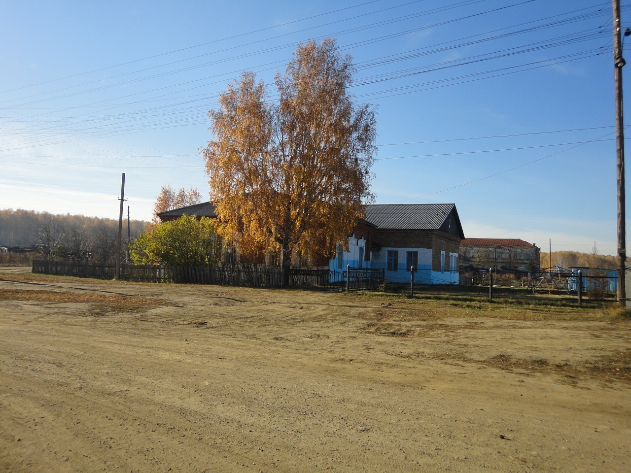 При каких условиях Вы бы переехали в сельскую местность?