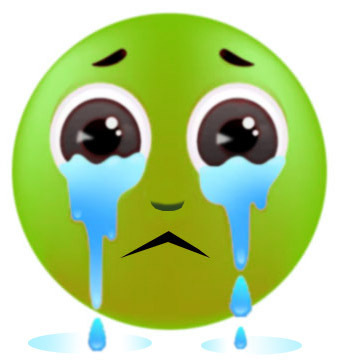 Почему гос-во РФ защищает своих тупых судей, а не граждан РФ?