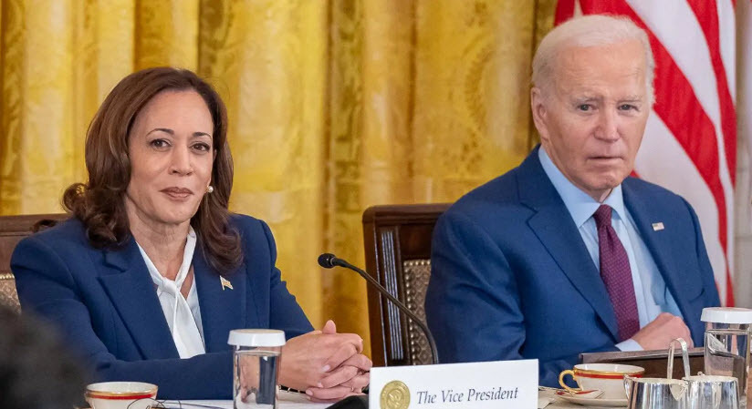 Ты только послушай! Говорят, что в Германии призвали к аресту Байдена и Харрис после выборов! Неужели это правда?!