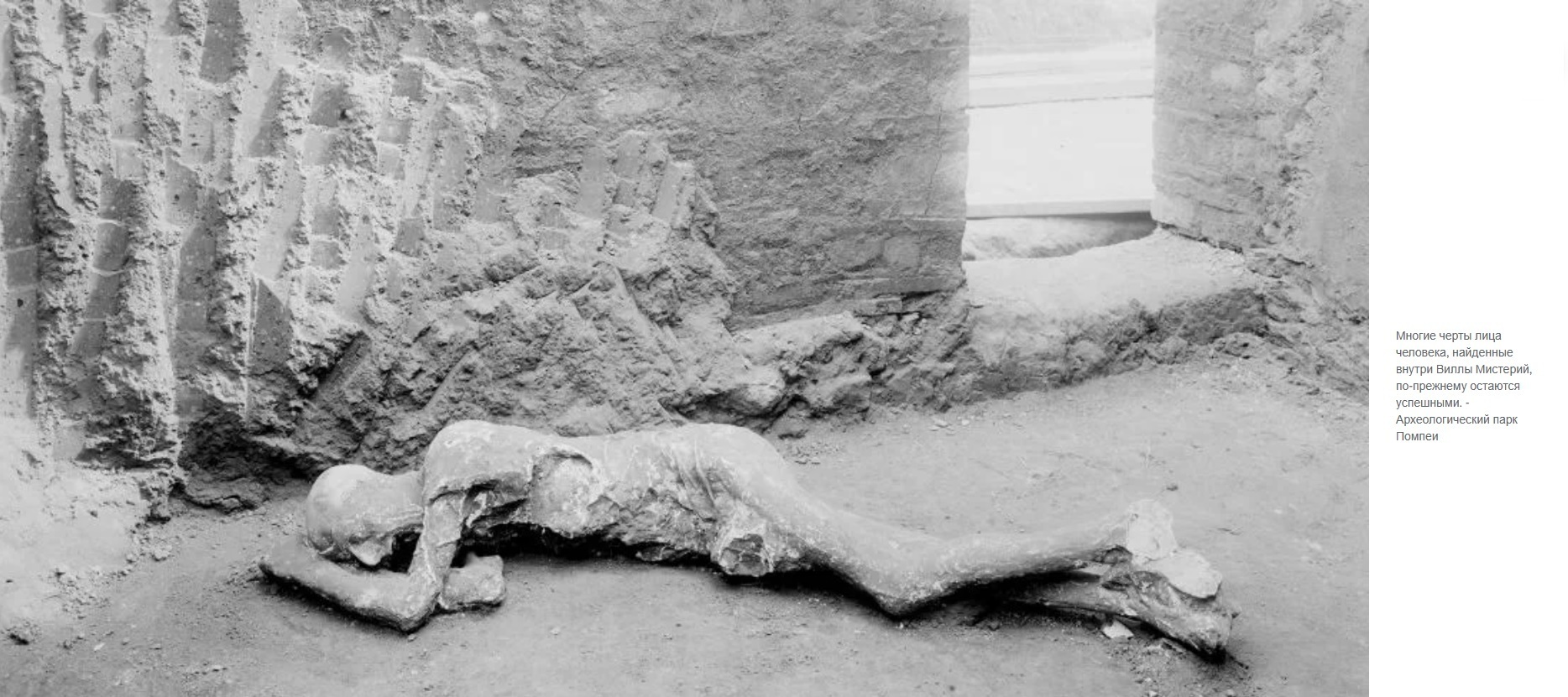 Анализ ДНК переворачивает давние предположения о последних минутах жизни жертв Помпеи