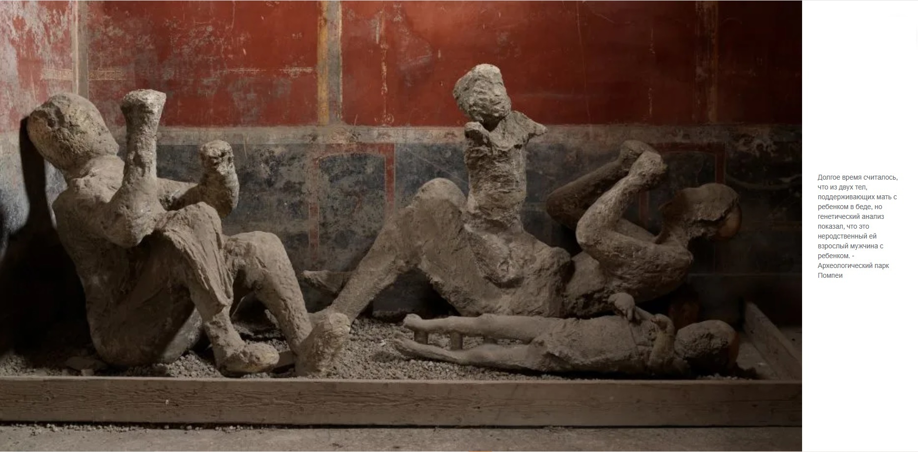 Анализ ДНК переворачивает давние предположения о последних минутах жизни жертв Помпеи