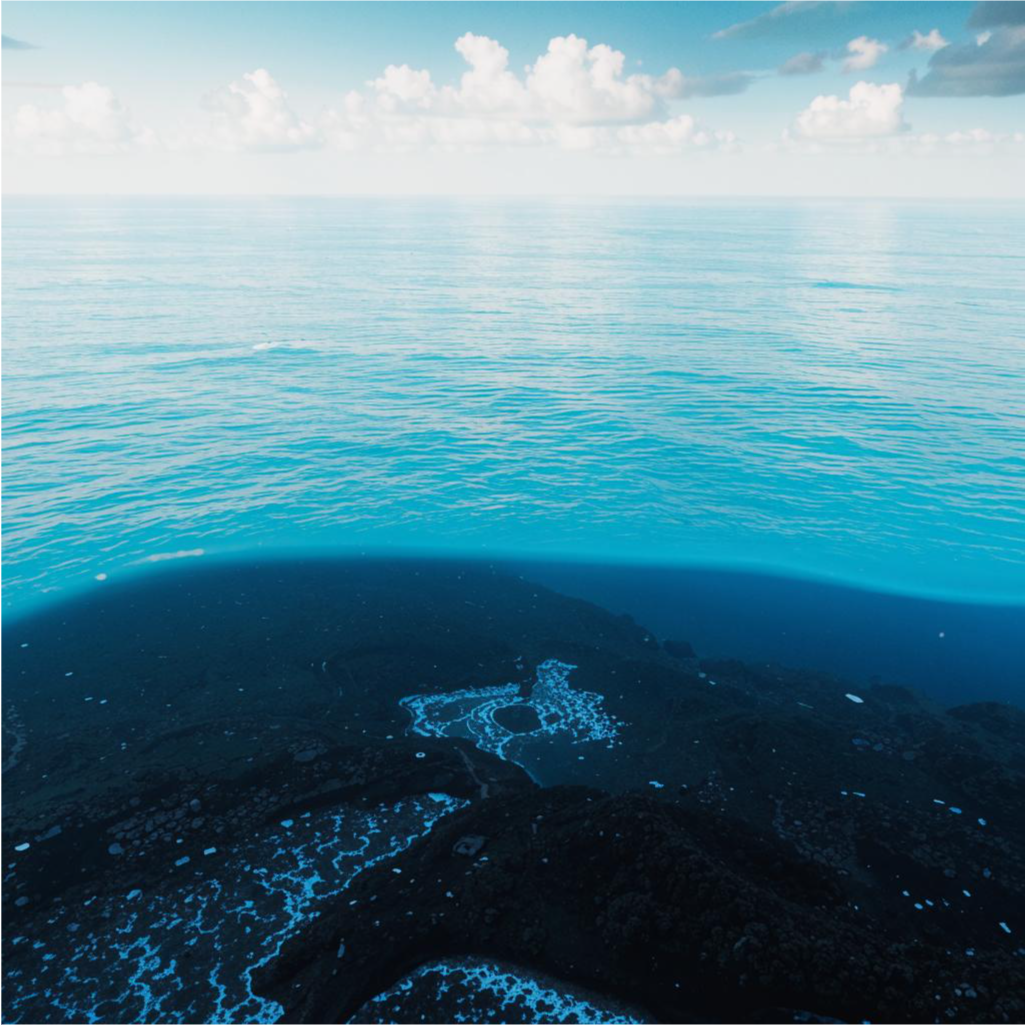 Обычные фекалии. Ученые выяснили происхождение таинственных черных шаров, из-за которых были закрыты пляжи в Австралии