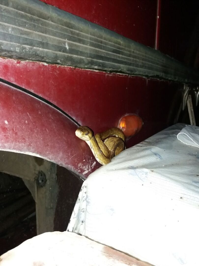 Как я оказался в эмиграции, и почему считаю, что сделанный своими руками дом в автобусе в лесу лучше, чем дворец в мегаполисе