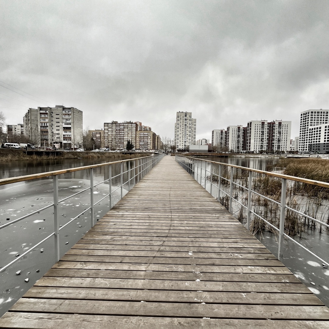 Алименты с самозанятого. Возможно?