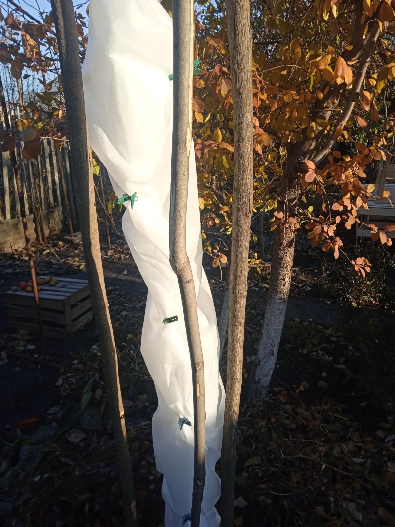 "В шубе теплее": или что одеть на зиму, чтобы не замерзнуть