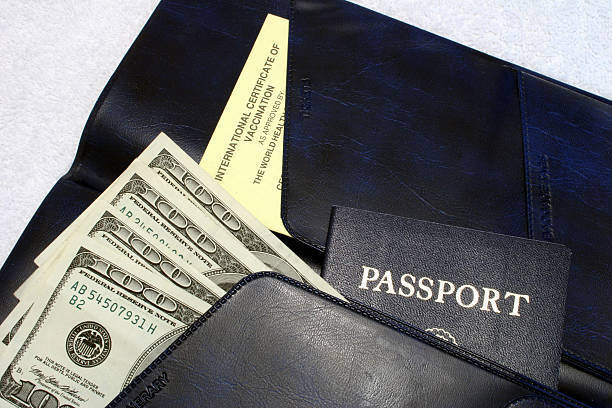 В России ужесточат штрафы за подделку документов при организации незаконной миграции