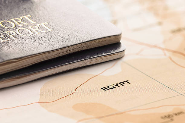 В России ужесточат штрафы за подделку документов при организации незаконной миграции