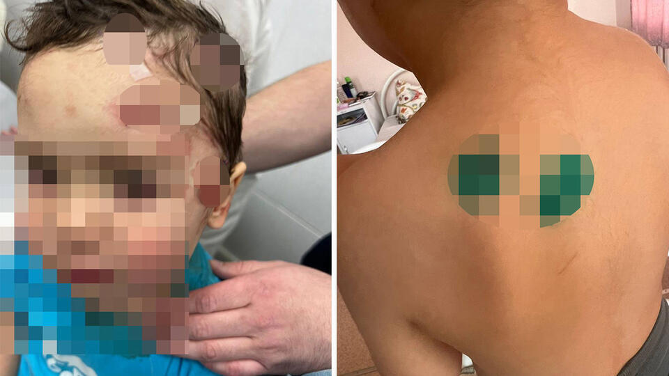 Трагедия и происки конкурентов? Трехлетний ребенок госпитализирован после нападения пантеры в цирке в Ангарске